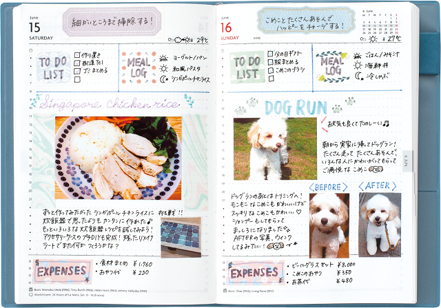 20190911G4-1.png