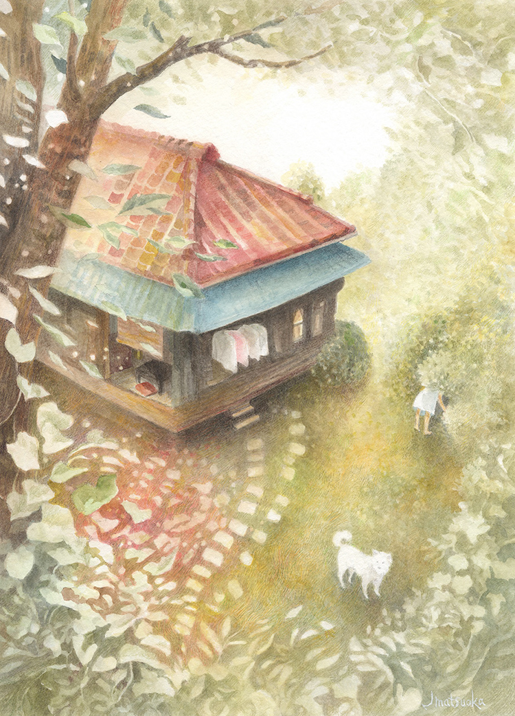 20240513_KB1_matuokajun_02.png
