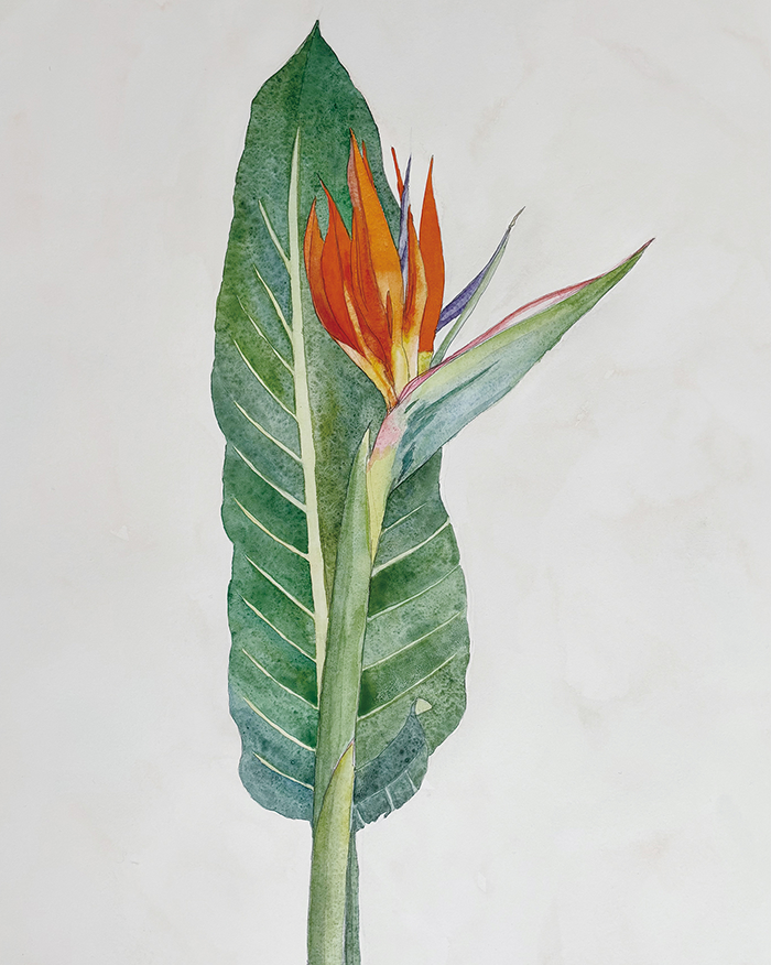 20250430_KB1_matsuya02sutorerichia.png