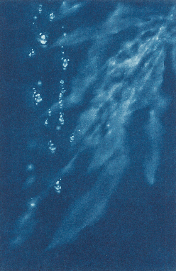 20250710_KB1_kodama1.png