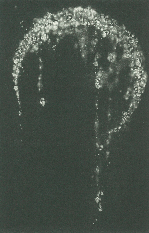 20250710_KB1_kodama2.png