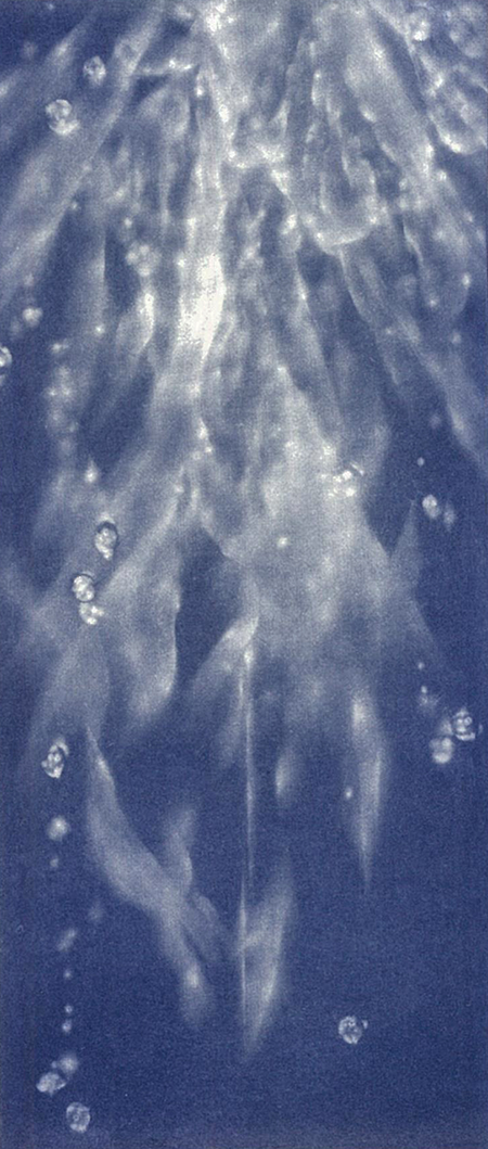 20250710_KB1_kodama3.png