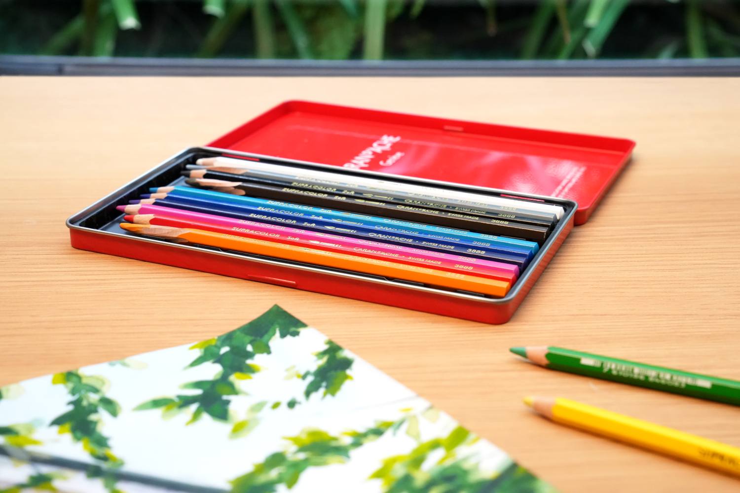 うららかな情景を切り取って